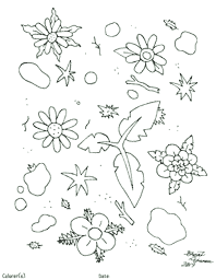 Coloring Page 8