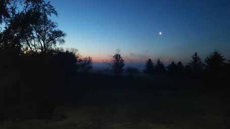 foggy night on farm photo