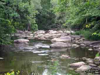 rocky river with green threes southern Minnesota photo