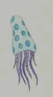 Balloon Squid